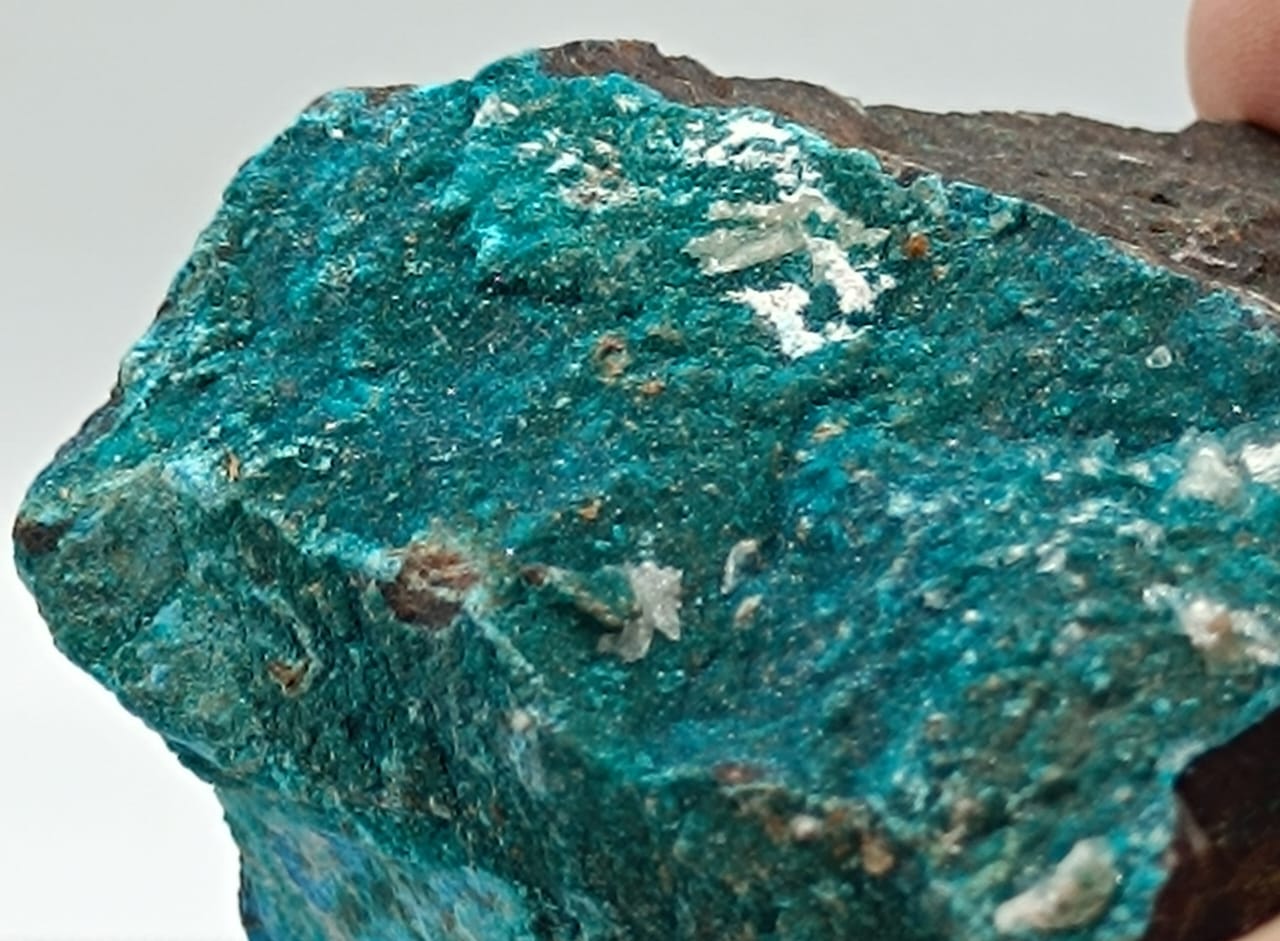 Dioptasa