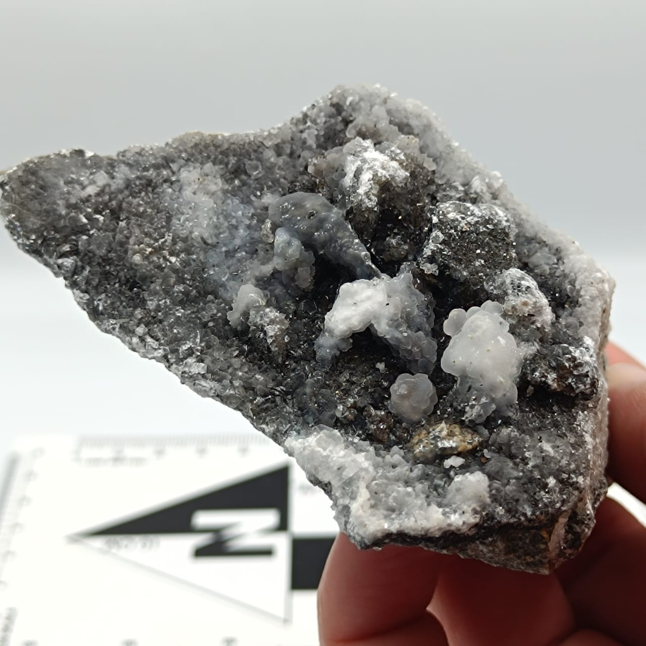 Calcedonia